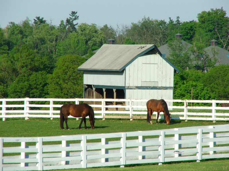 Equine Fence Installation in Pearland, TX