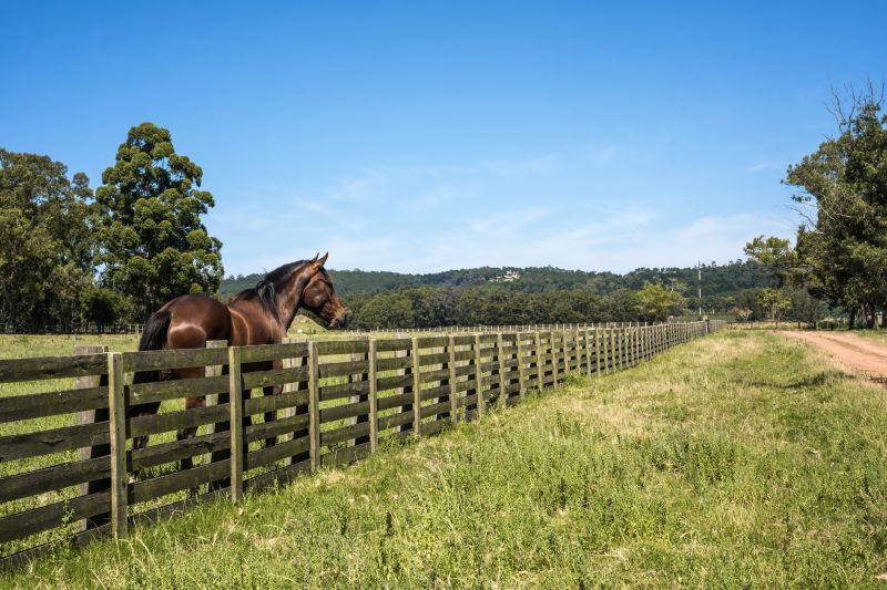 Horse Paddock Installation in Sacramento, CA