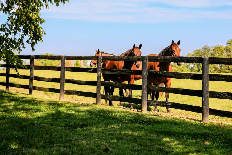 Ranch Fence Construction in Roseville, CA