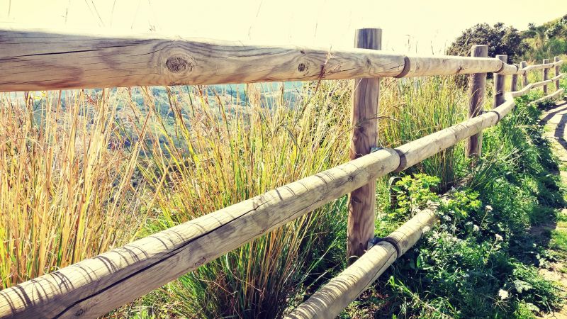 Stable Fencing Installation in Pearland, TX
